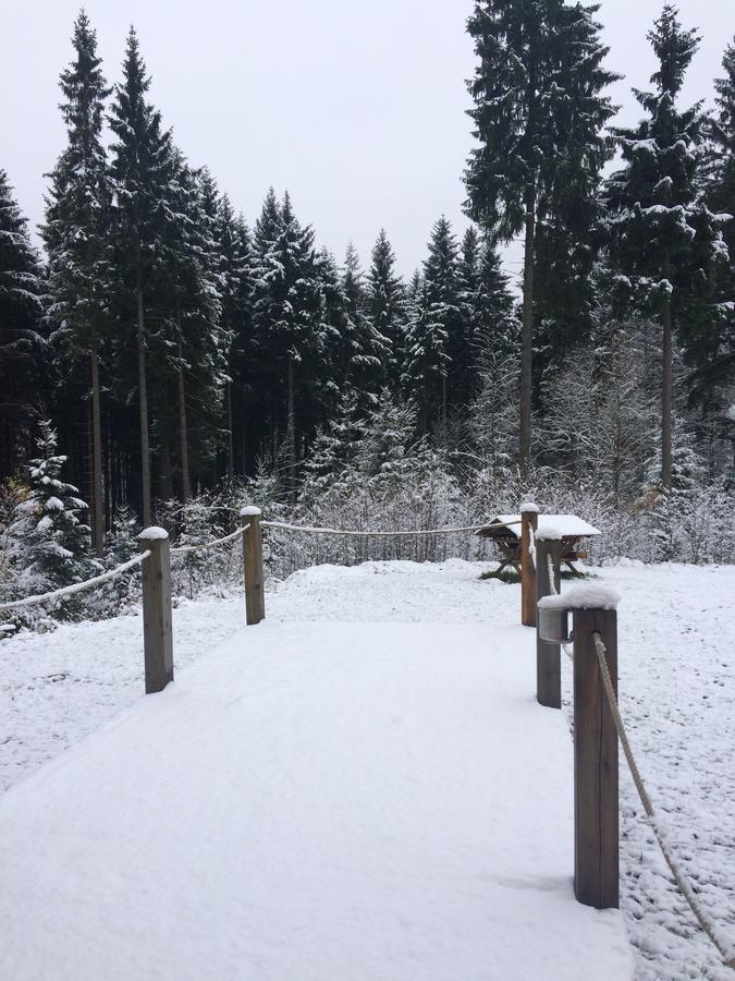 Ht Chalets Harrachov Bagian luar foto