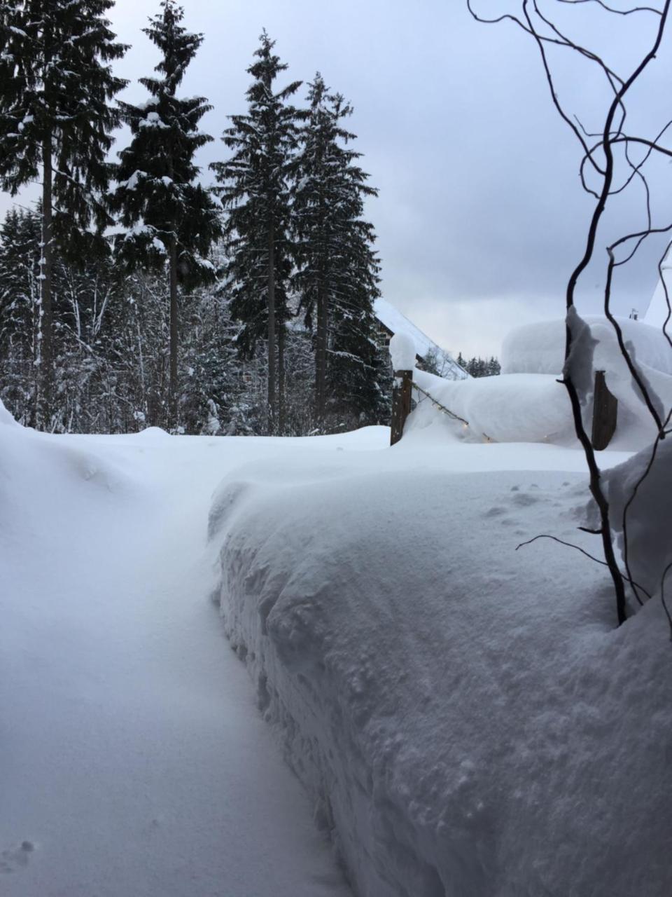 Ht Chalets Harrachov Bagian luar foto